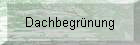 Dachbegrnung